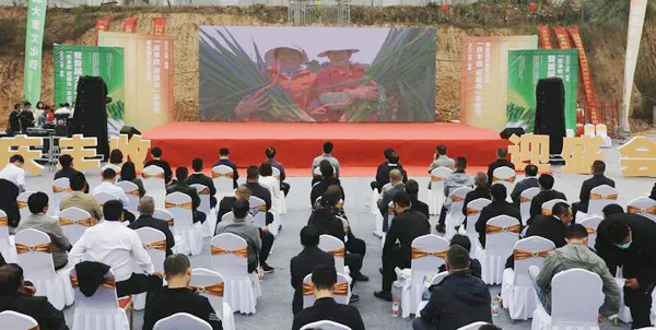 潞城区举行2022年“庆丰收 迎盛会”丰收节暨首届大葱文化节