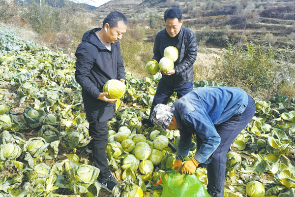 壶关石盆村图片