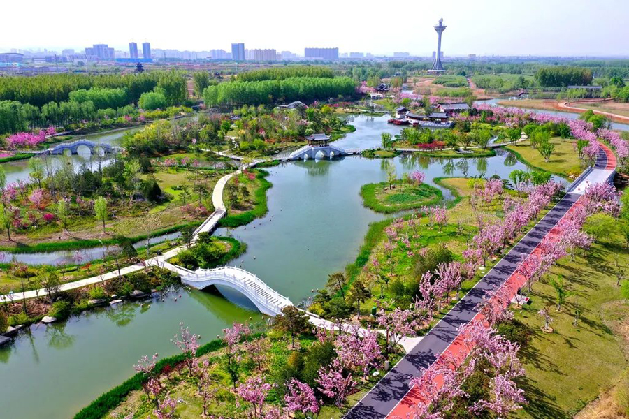 漳泽湖湿地公园图片