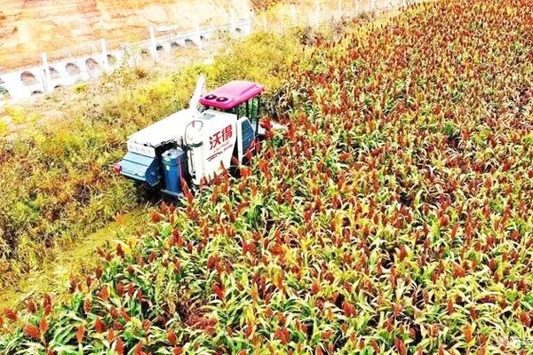 沁县：农业机械化助力乡村振兴驶上“快车道”