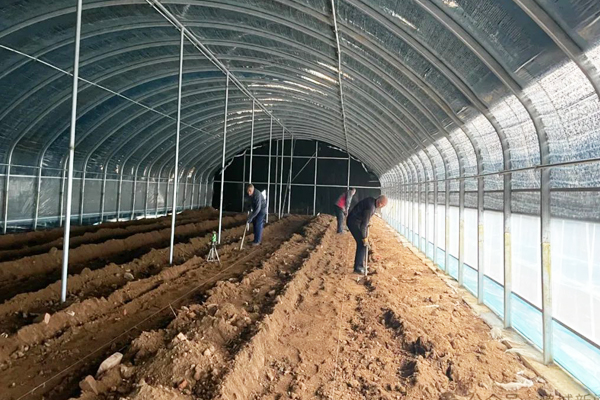 潞城区东靳村香菇种植释放产业新“蘑”力