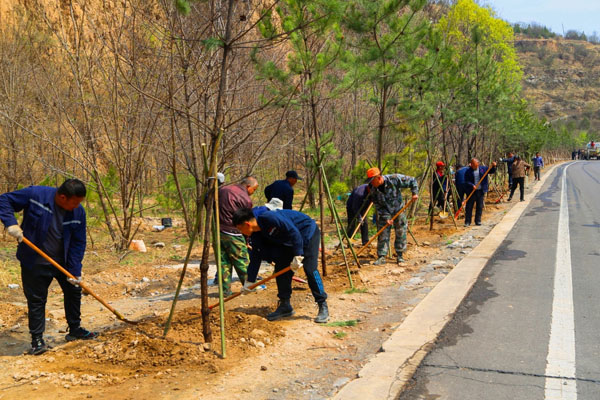 “植”此青绿！襄垣县组织开展春季植树造林活动