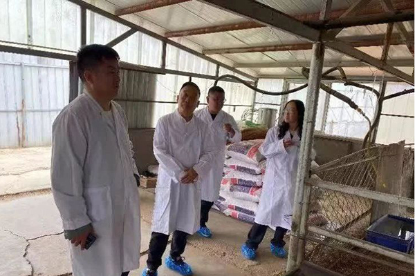 沁县申报国家级示范场推动畜牧业高质量发展