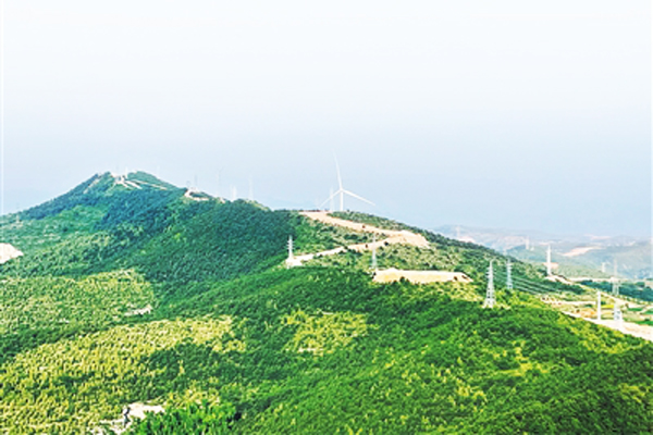 向绿而行！看潞城“大风车”如何转出新天地